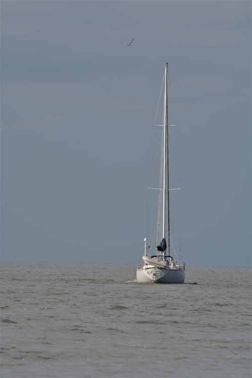 sailboat on water